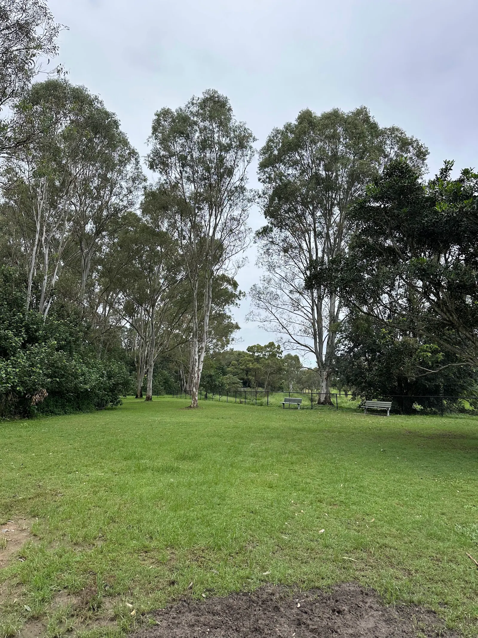 Dog Park(SCDP) dog park