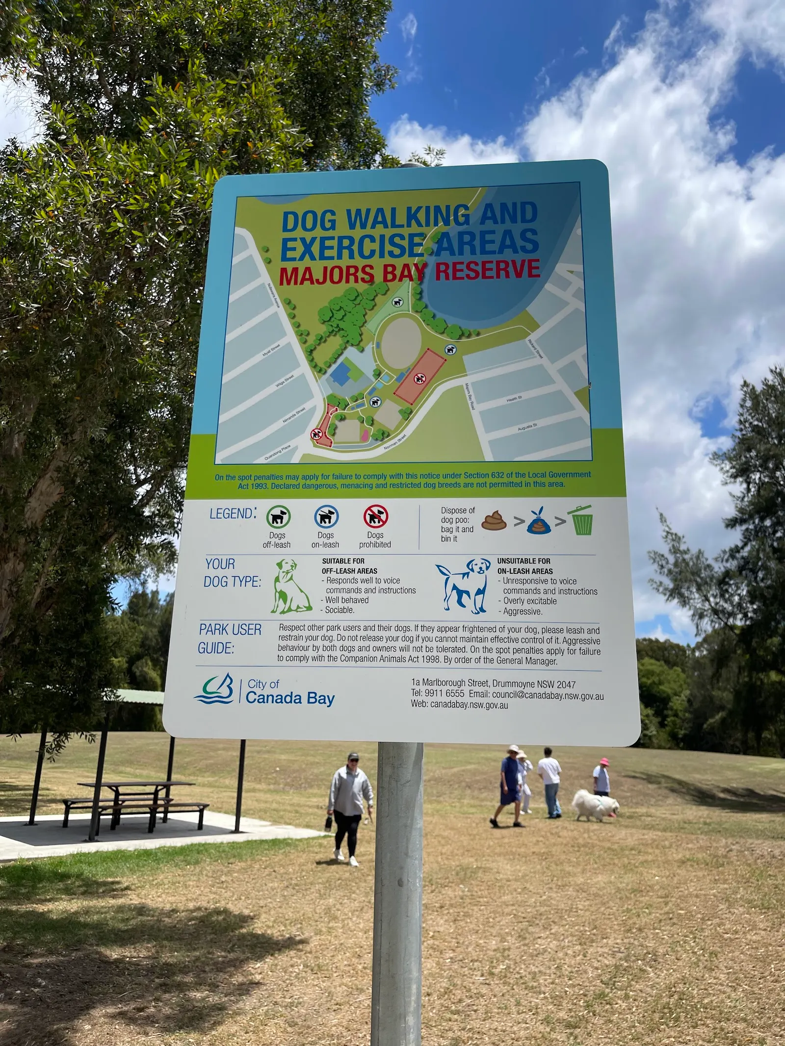 Majors Bay Reserve Unfenced Off-leash Dog Park dog park