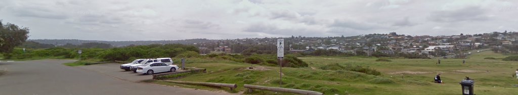 Dee why dog park dog park