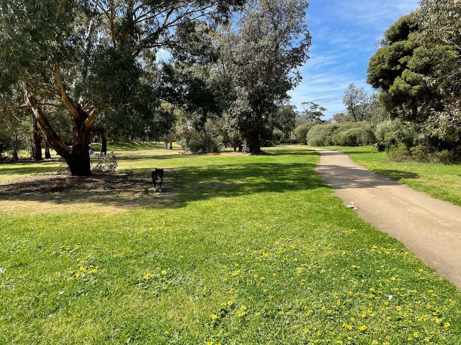 Armstrongs Reserve Dog Off Leash Area dog park