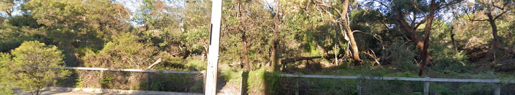George Street Reserve Dog Off Leash Area dog park