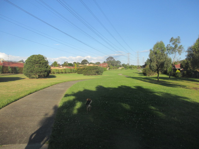 Whites Lane Retarding Basin Dog Off Leash Area dog park