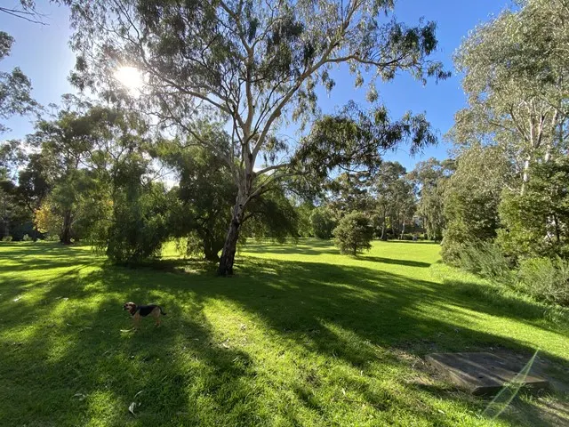 Spring Gully Reserve Dog Off Leash Area dog park
