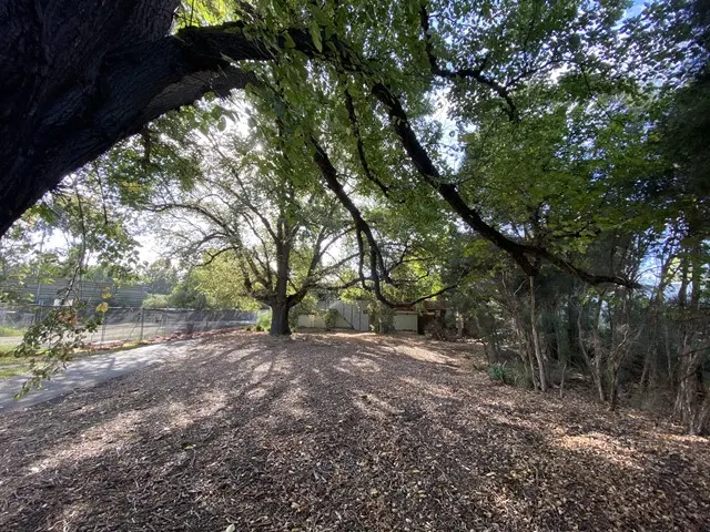 Tooronga Park Dog Off Leash Area dog park
