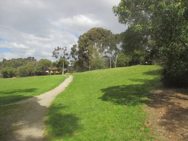 Cat Jump Park Dog Off Leash Area dog park