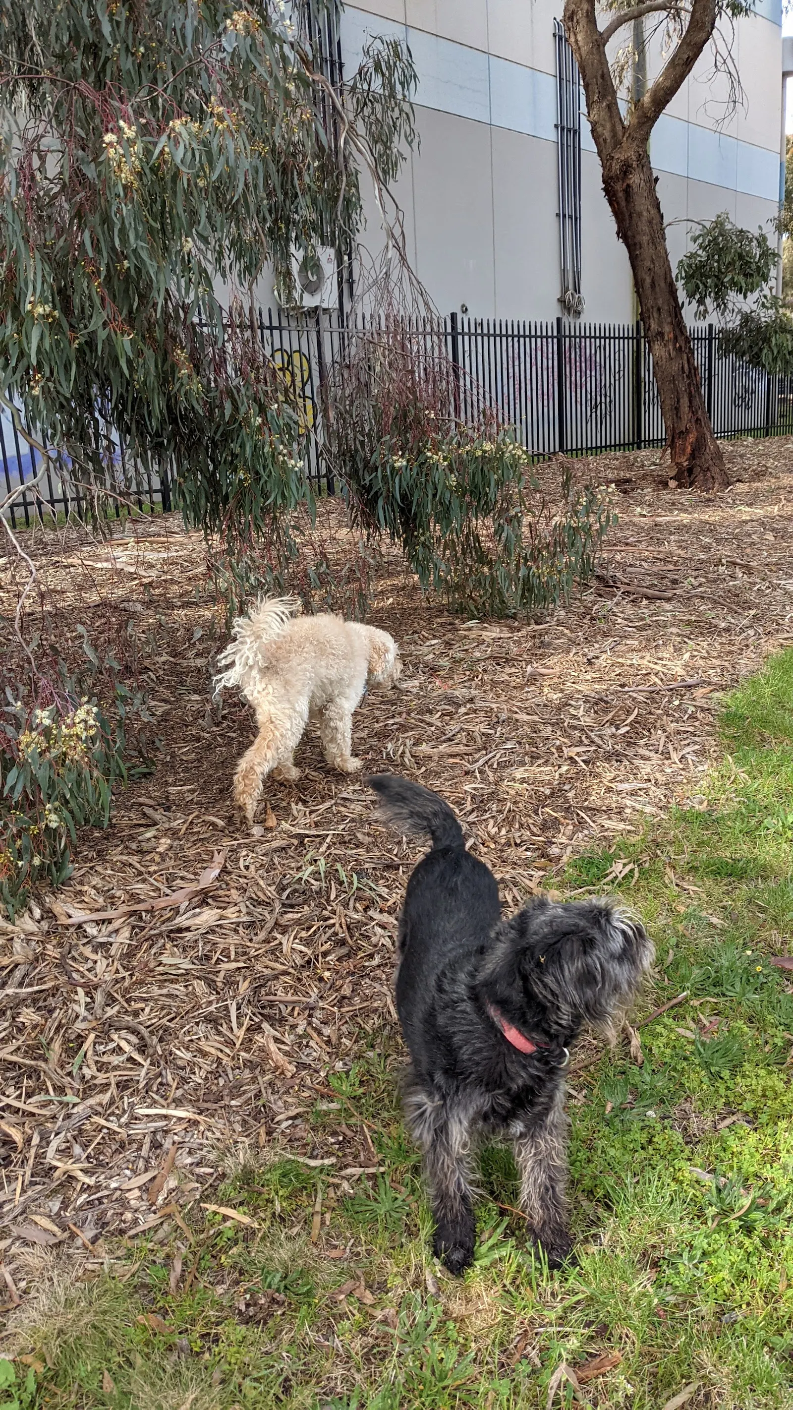 Trade Park Reserve Dog Off Leash Area dog park