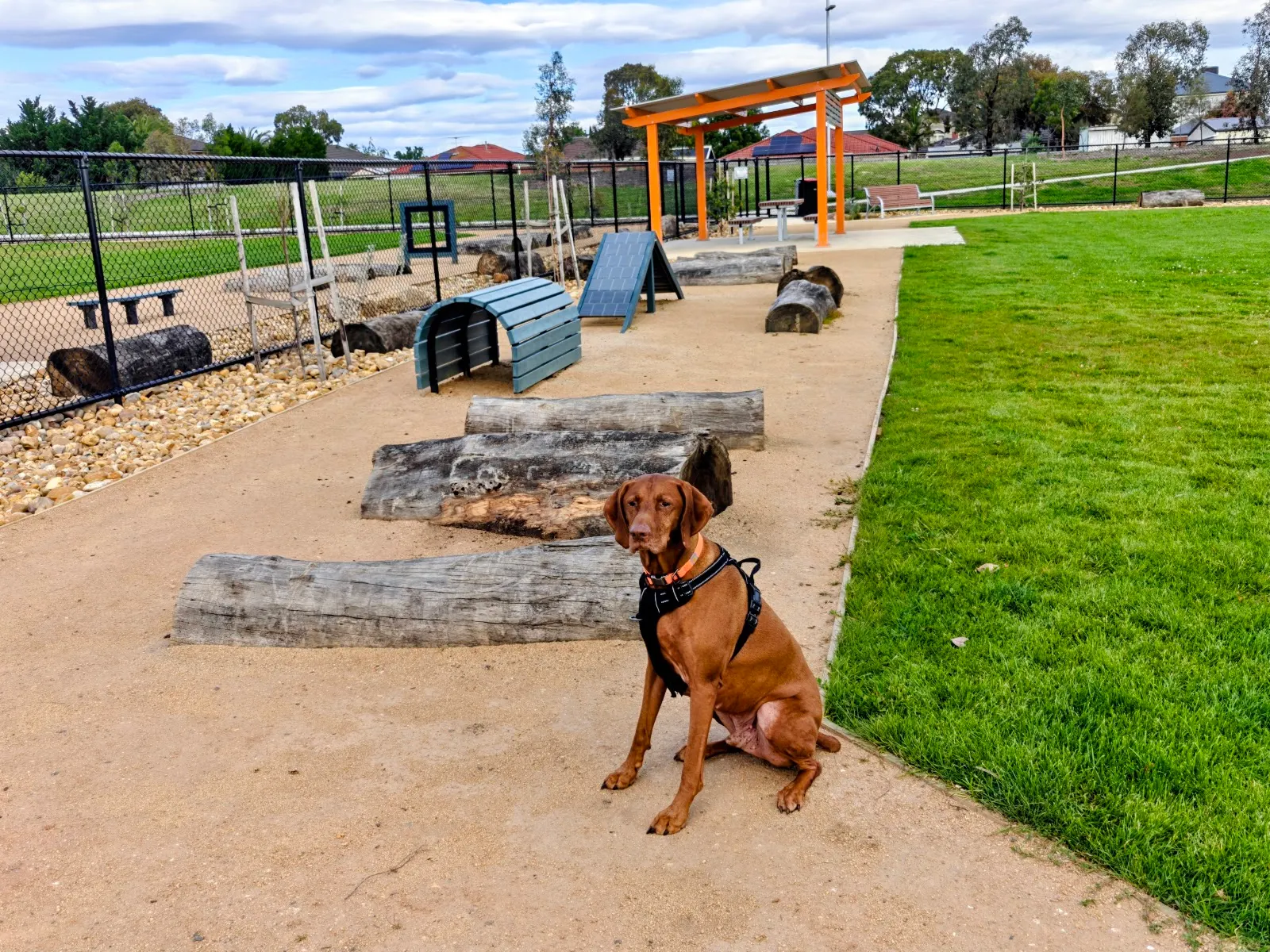Elms Court Dog Park dog park