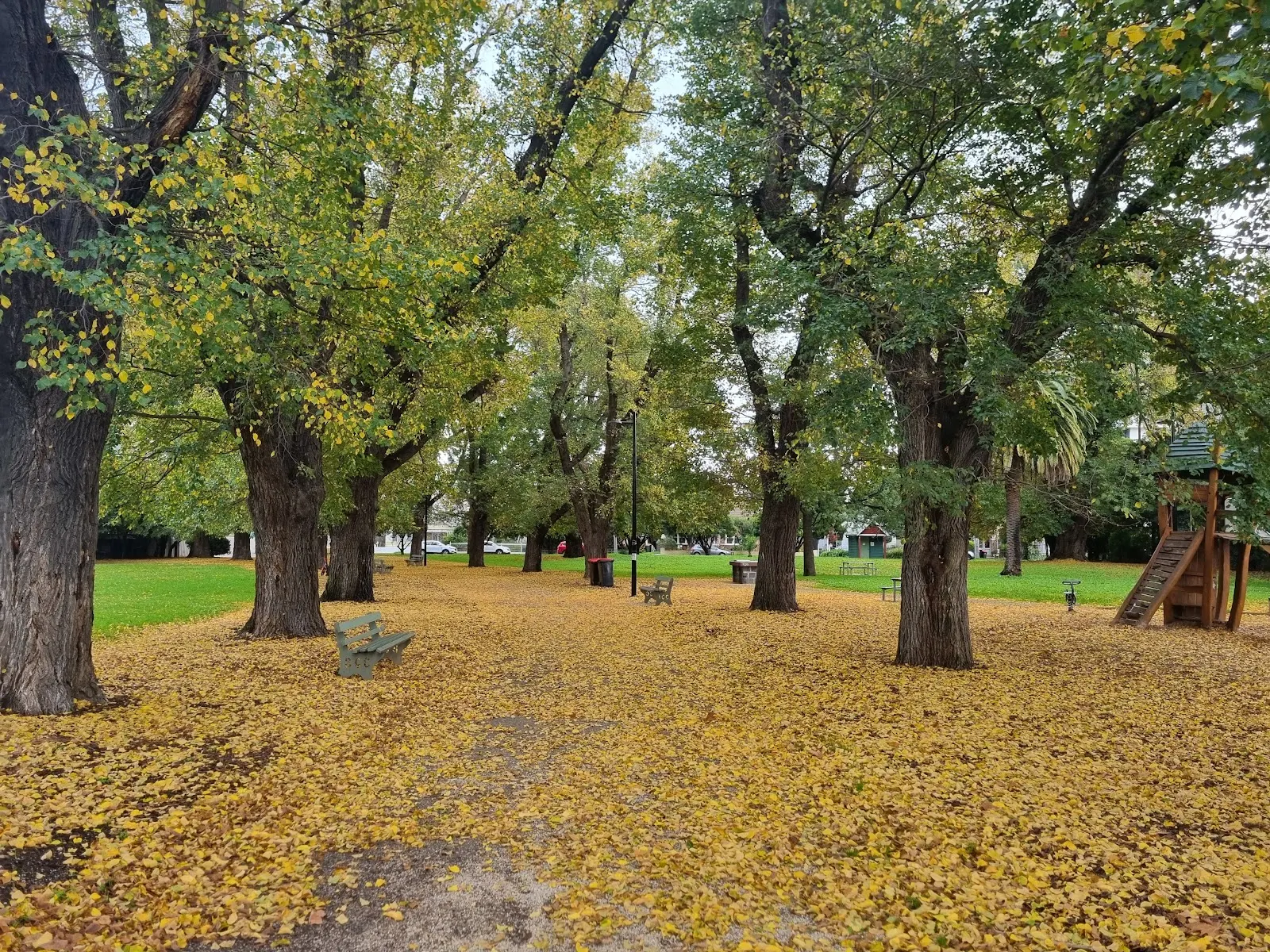 Methven Park Dog Off Leash Area dog park