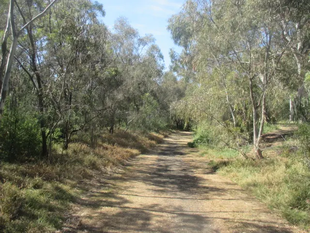 Shaeahans Reserve Dog Off Leash Area dog park