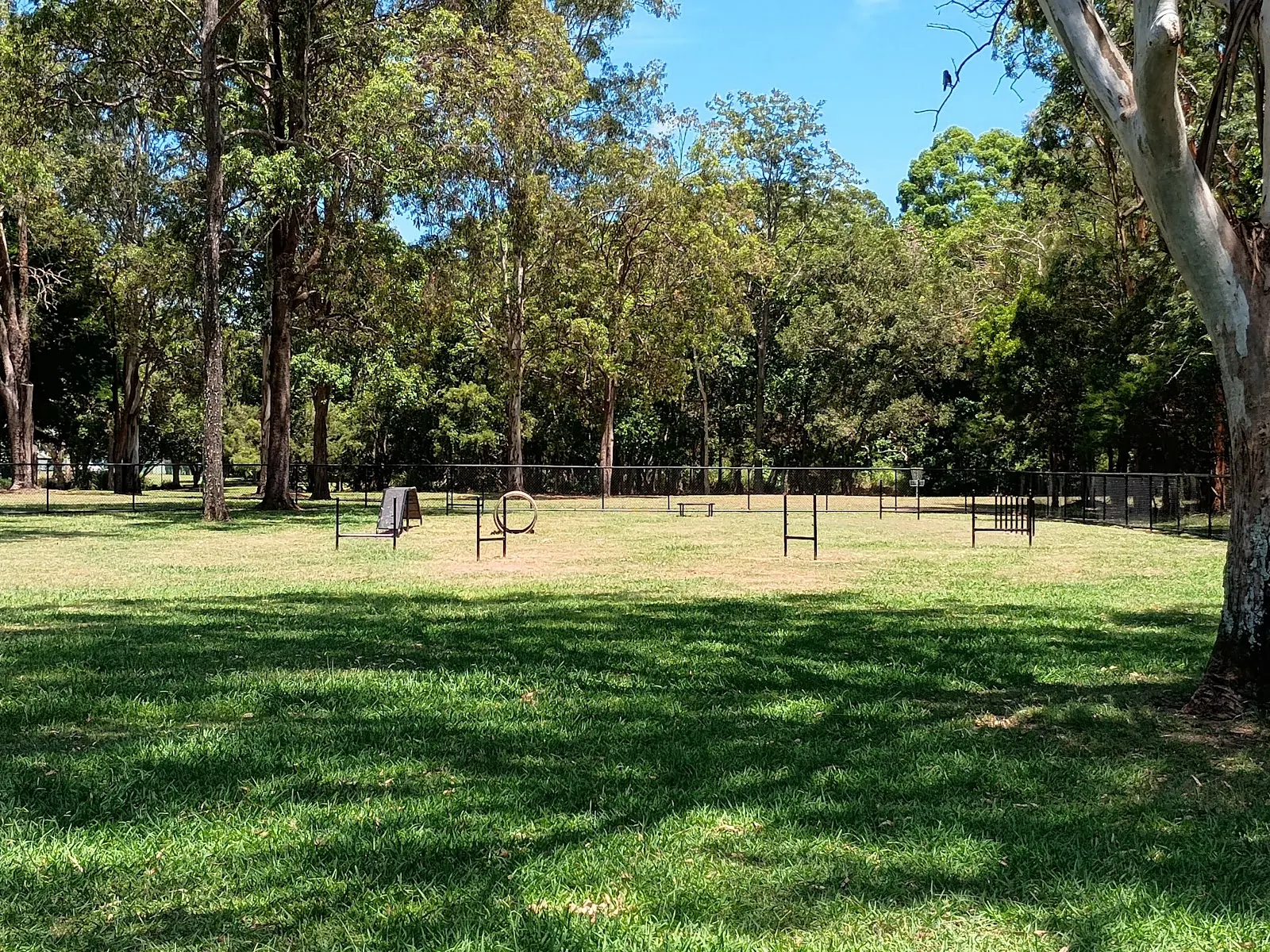 Sylvia Gibbs Park Fenced Dog Park dog park