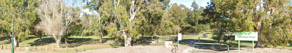 Yarrabee Park Fenced Dog Park dog park
