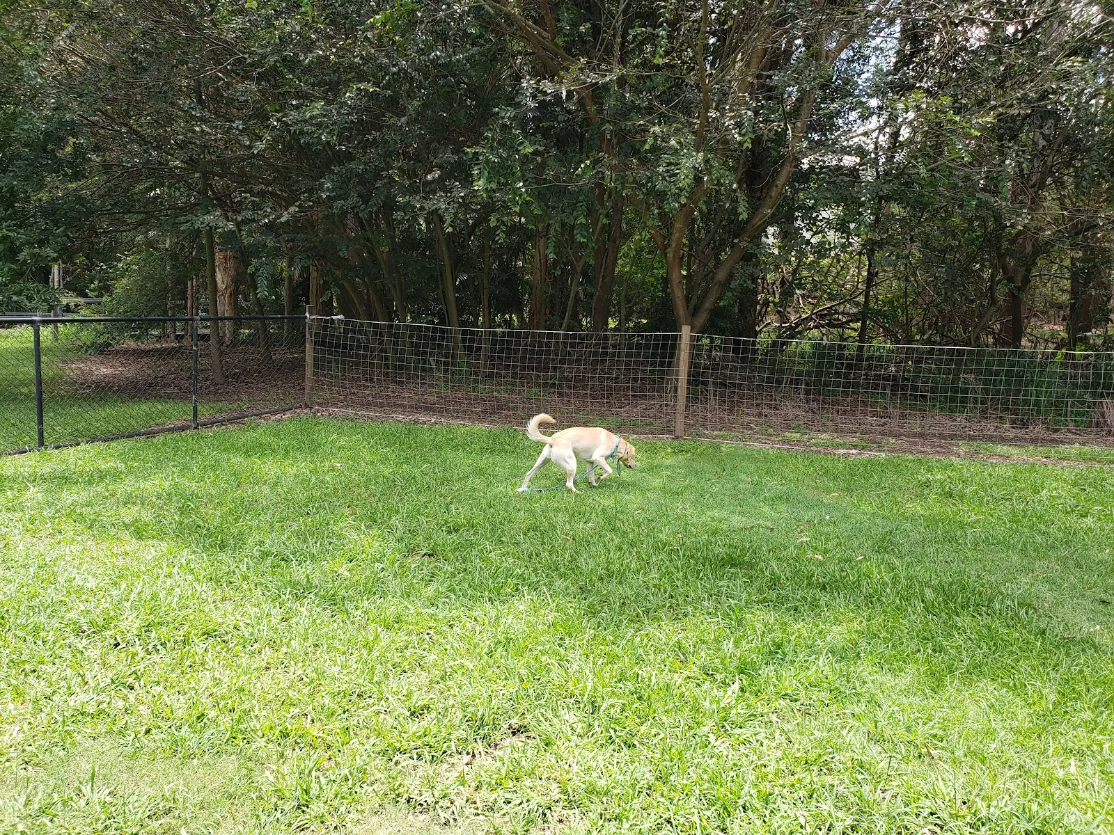 Fairhaven Place Dog Park dog park