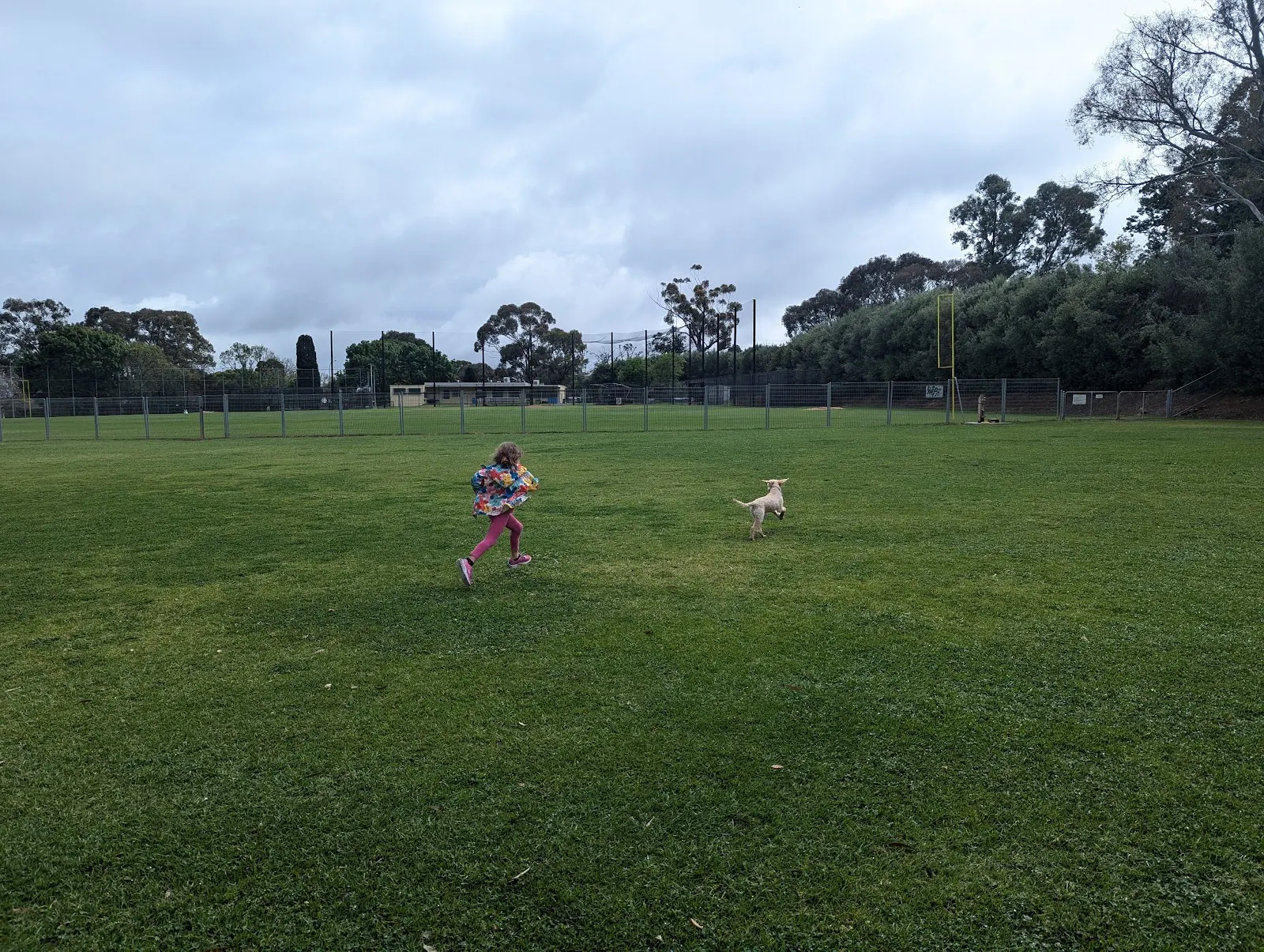 Dog Park - Mitcham dog park