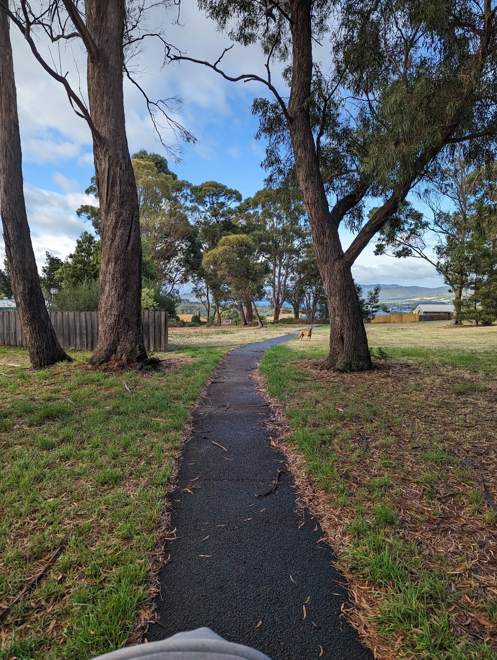 Maranoa Heights Reserve dog park