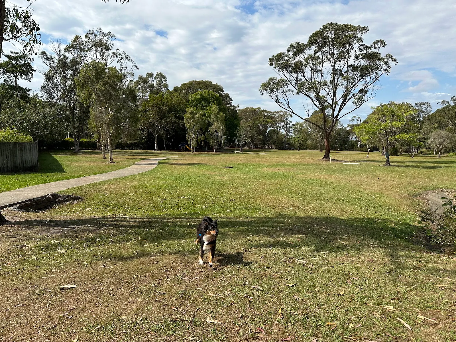 Meridan Downs Off Leash Dog Park dog park