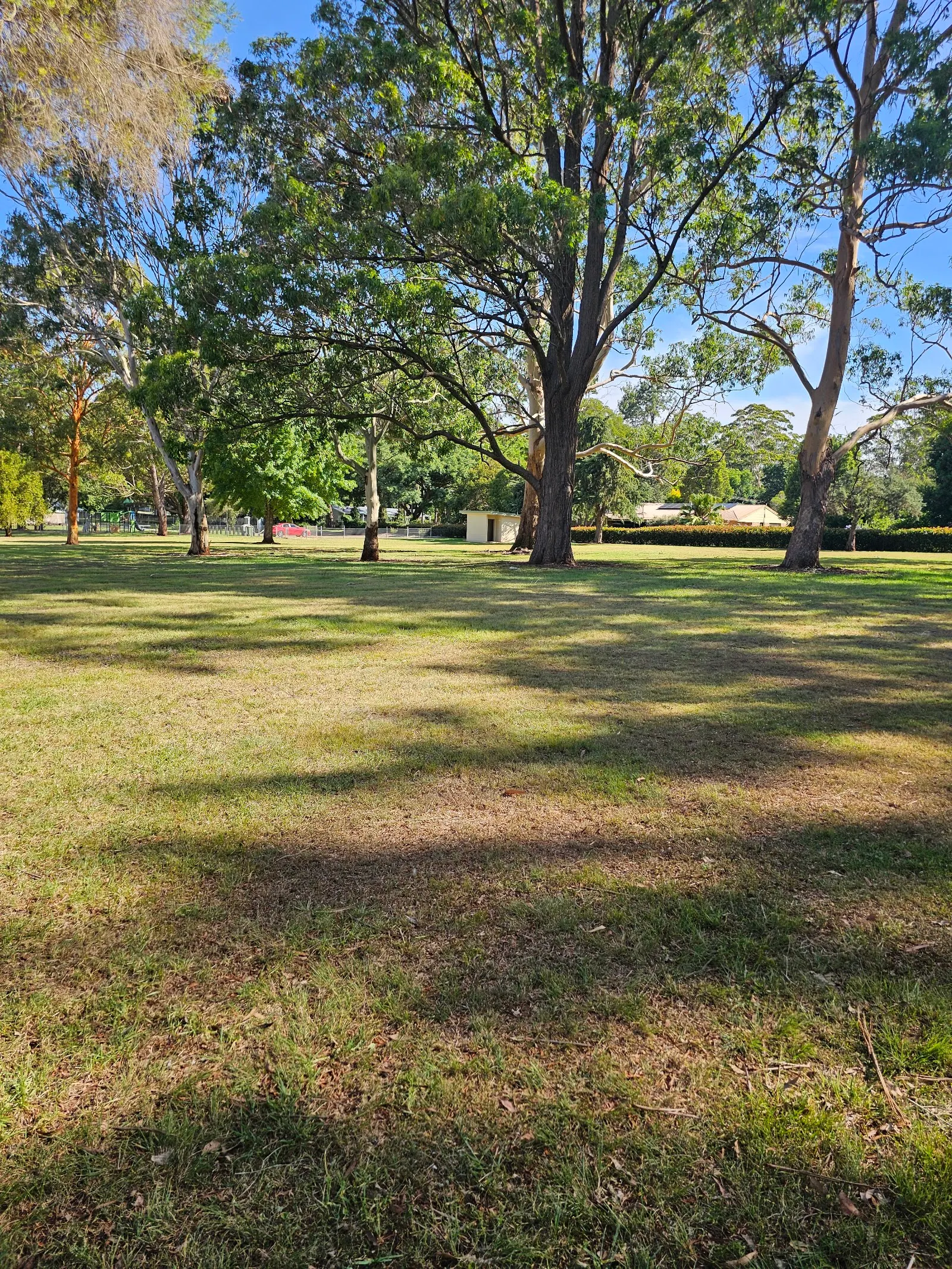 Michael Park Off Leash Dog Park dog park