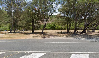 Touch Park Fenced Dog Park dog park