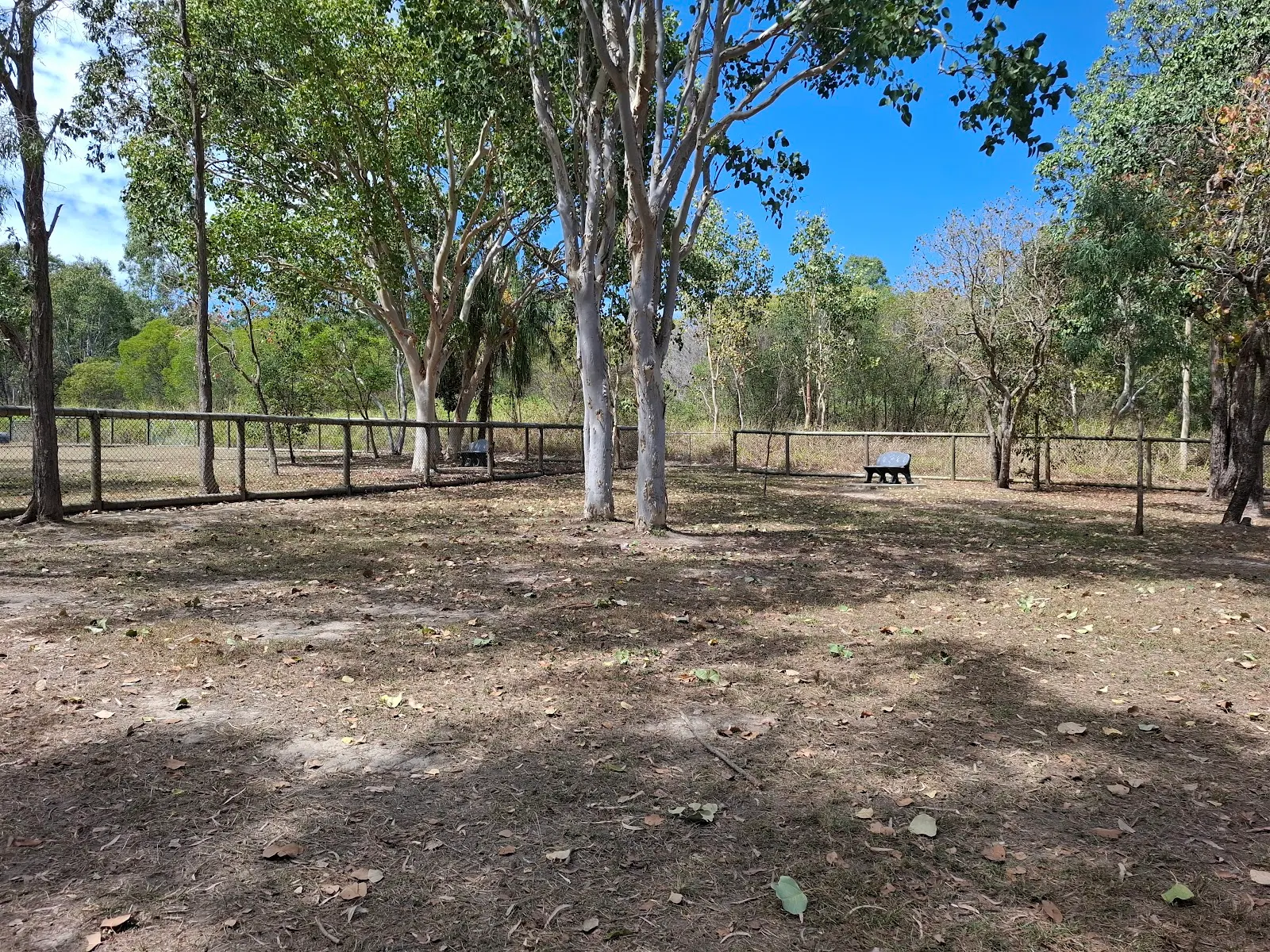 Lammermoor Dog park dog park