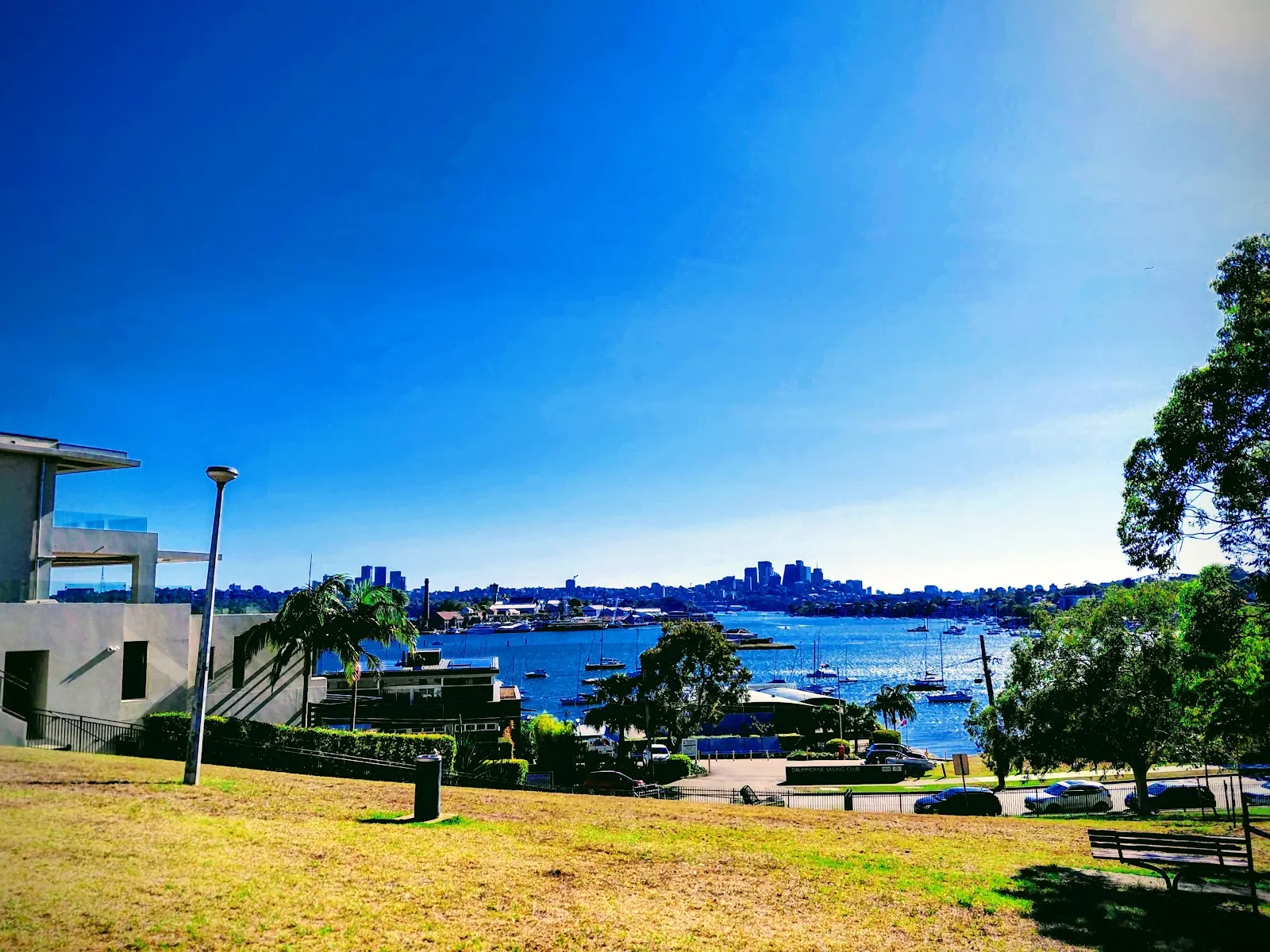 Saint Georges Crescent Reserve Unfenced Off-leash Dog Park dog park