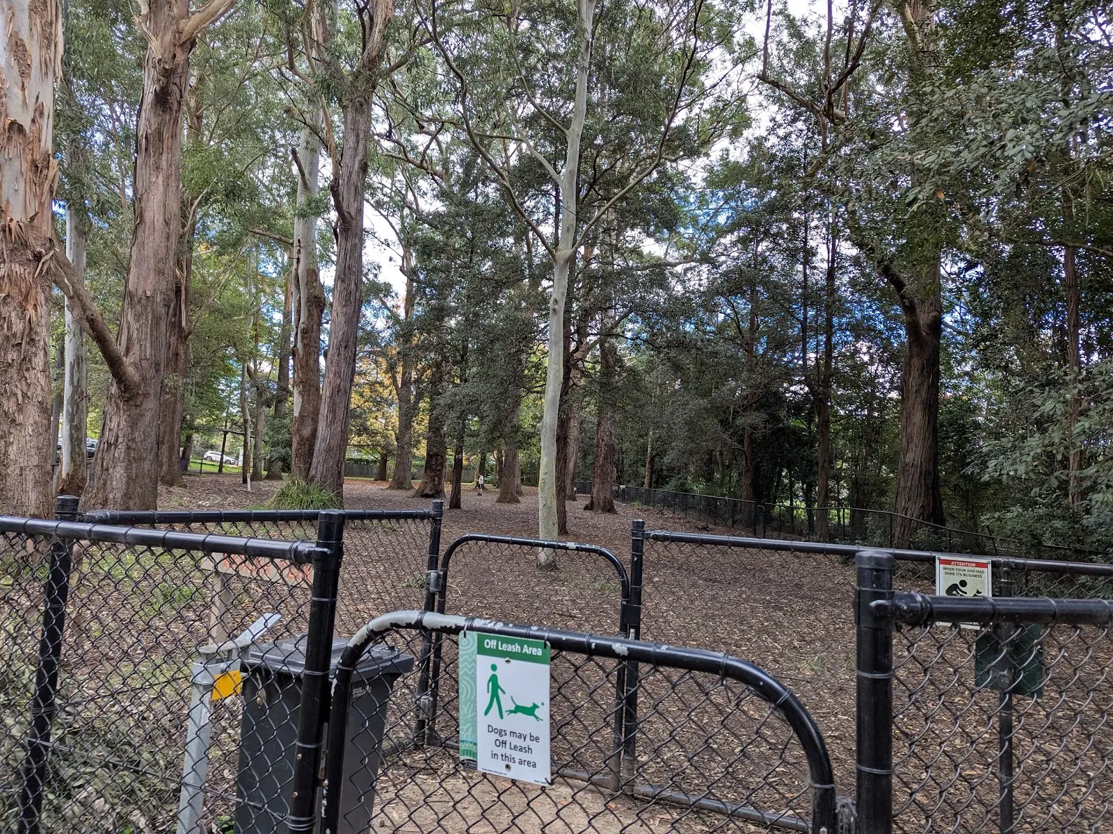 Karuah park off leash dog area dog park