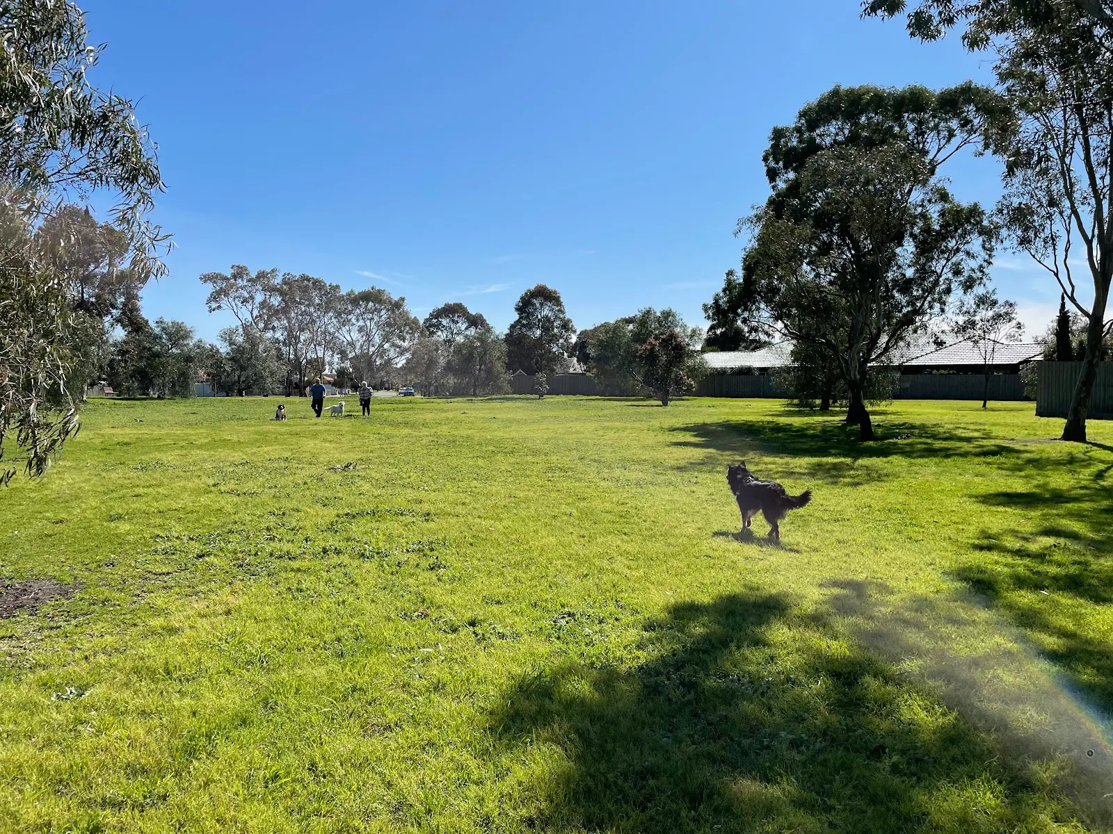 Nurten Parade Reserve Dog Off Leash Area dog park