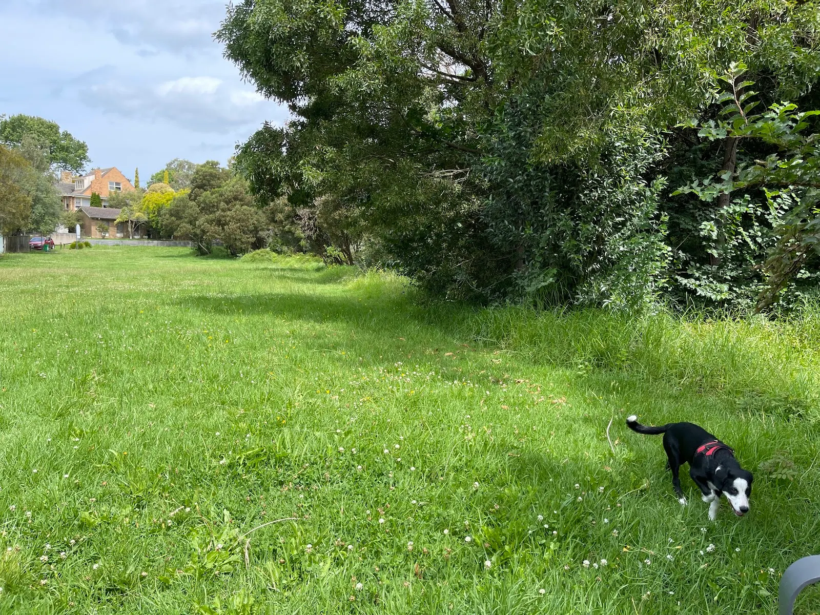The Heights Dog Off Leash Area dog park
