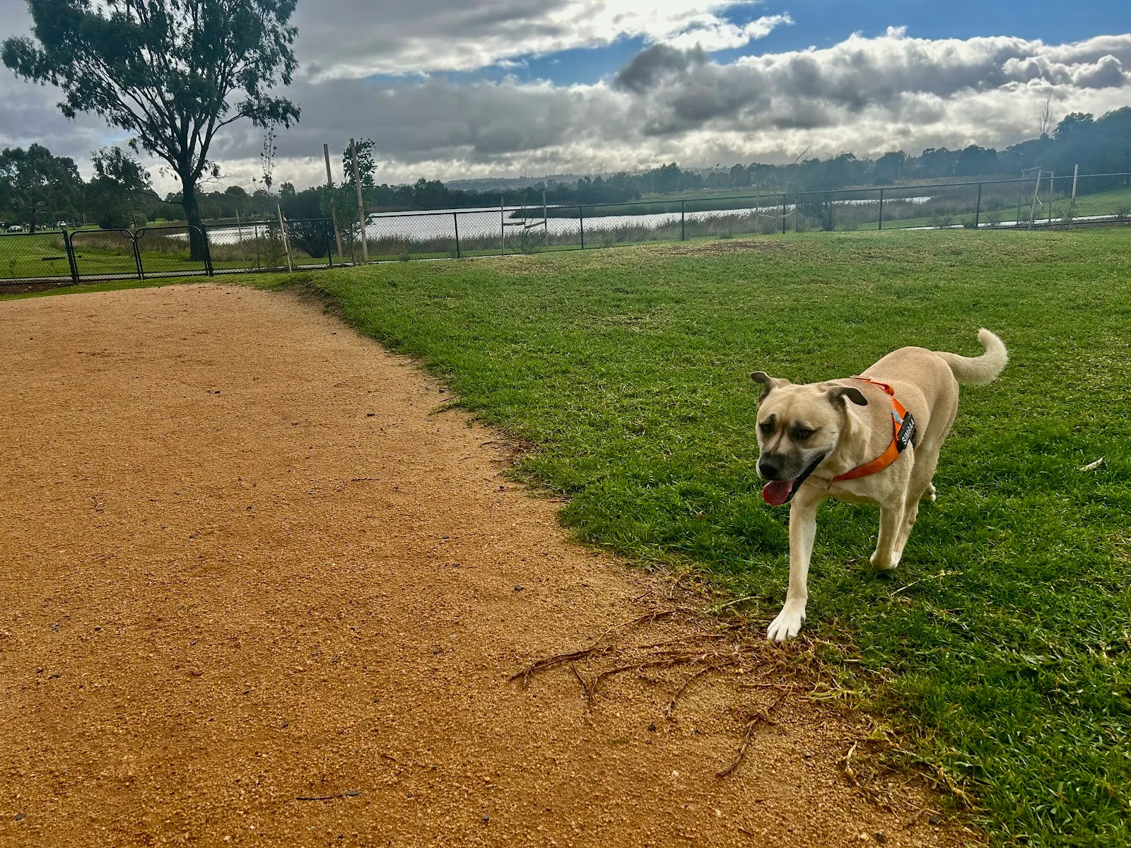Berwick Springs Dog Park dog park