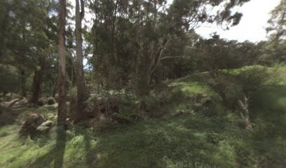Minak Reserve Dog Off Leash Area dog park