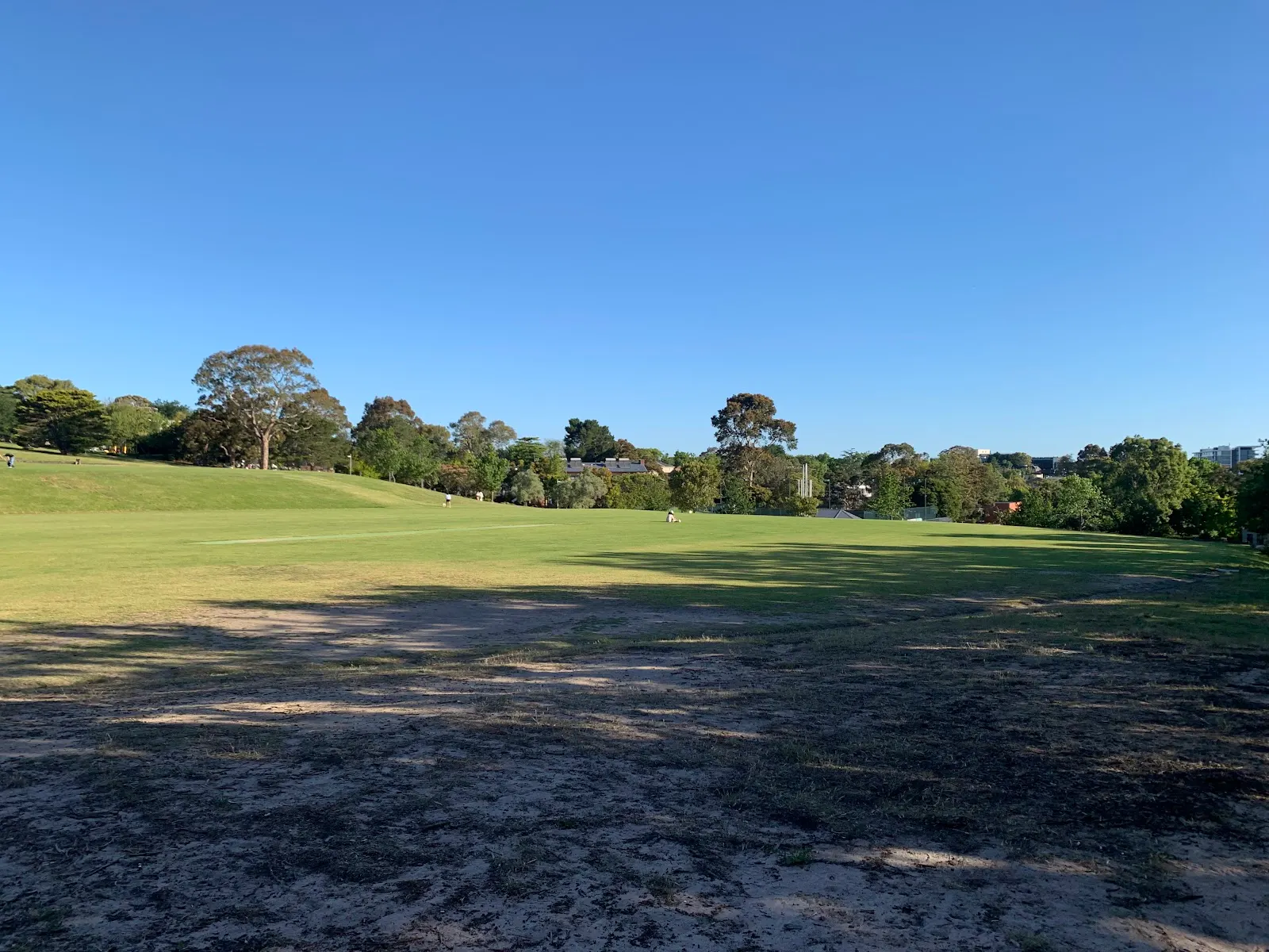 Anderson Park off leash dog area dog park