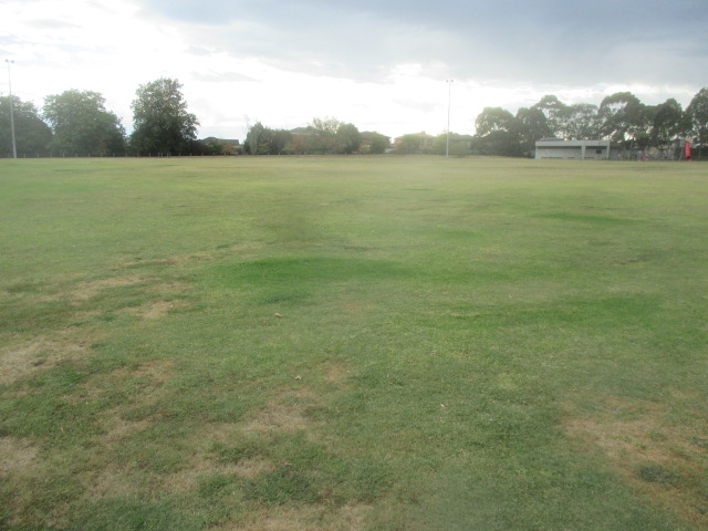 Warner Reserve Dog Off Leash Area dog park