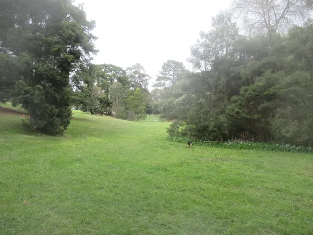 Hillcrest Reserve Dog Off Leash Area dog park