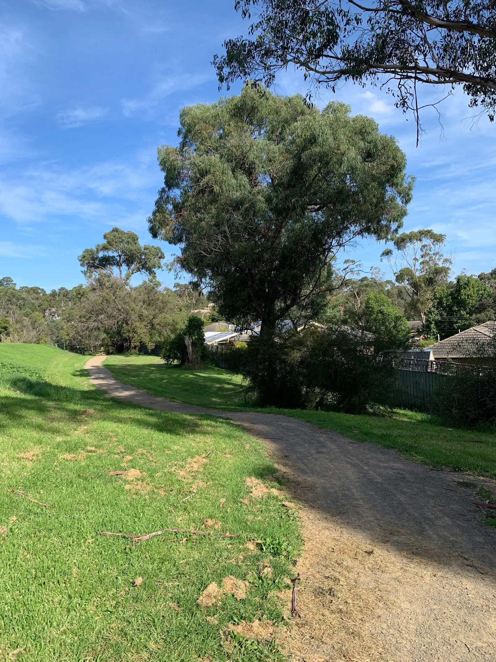 Mullum Mullum Reserve Dog On Leash Area dog park