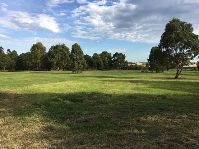 Sunset Drive Reserve Dog Off Leash Area dog park