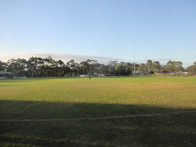 Martin Reserve Dog Off Leash Area dog park