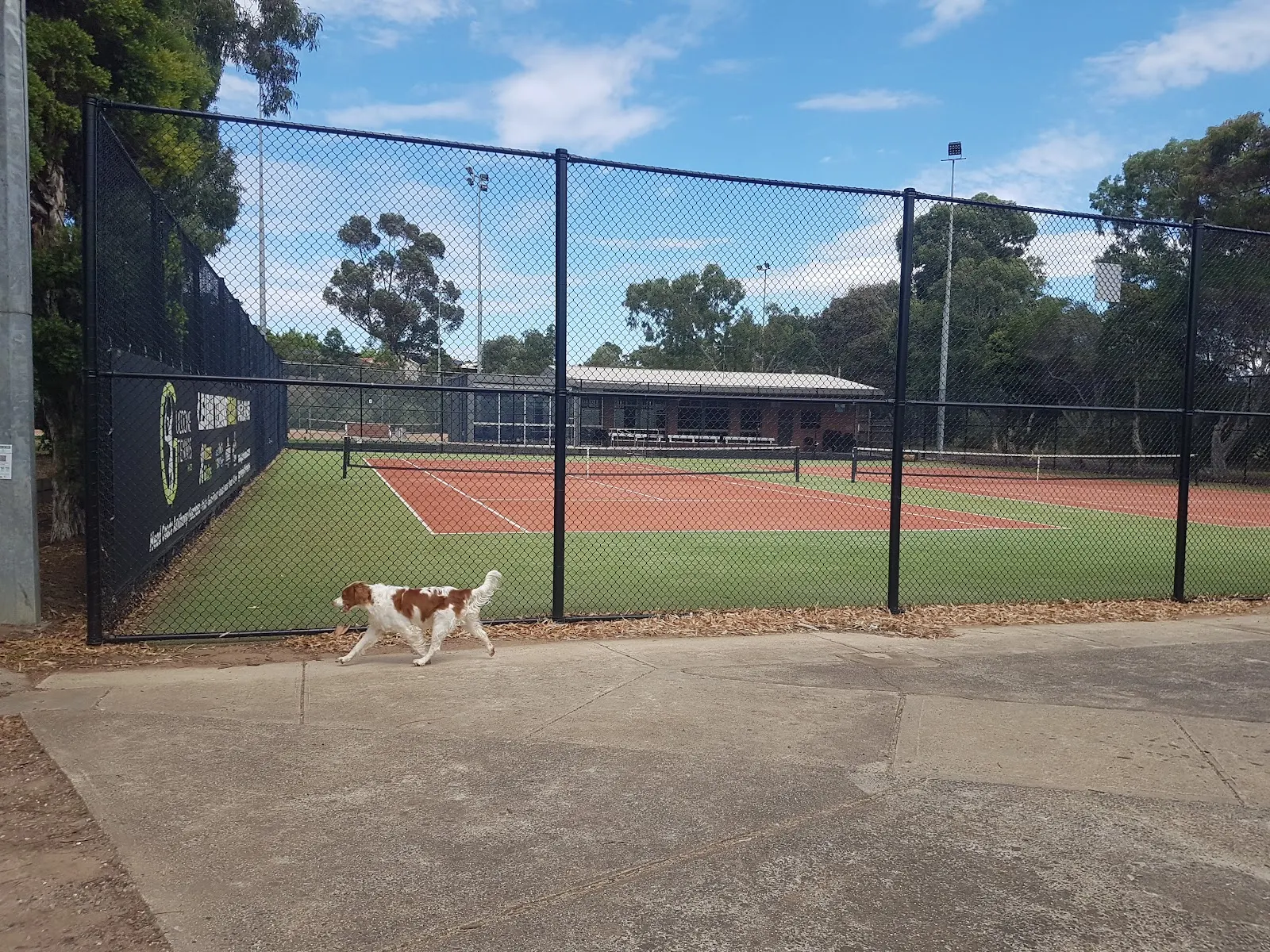 Willowbrook Reserve Dog Off Leash Area dog park