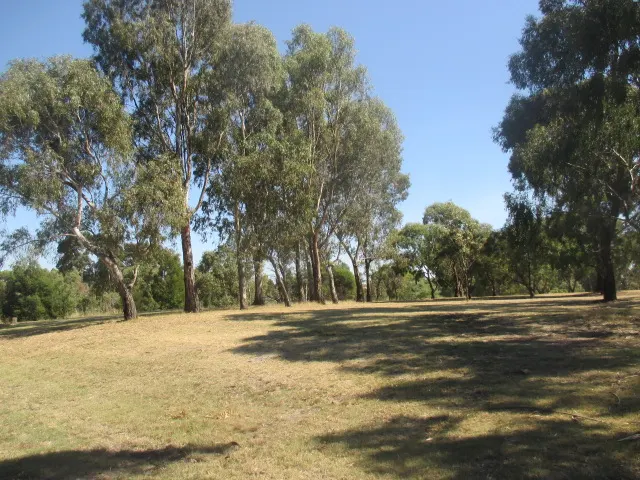 Judith Scott Memorial Park Dog Off Leash Area dog park