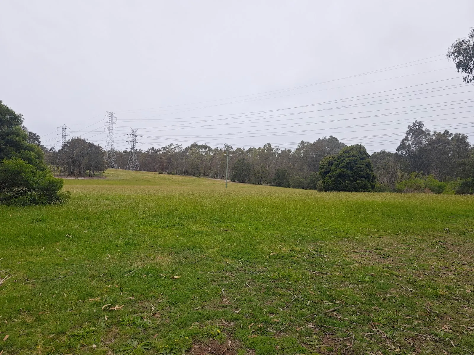 Fitzsimons Reserve dog park
