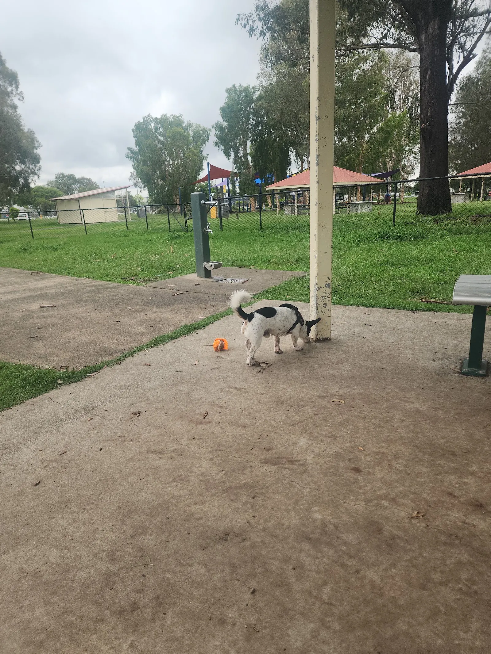 Mortimer Rd Dog Park dog park