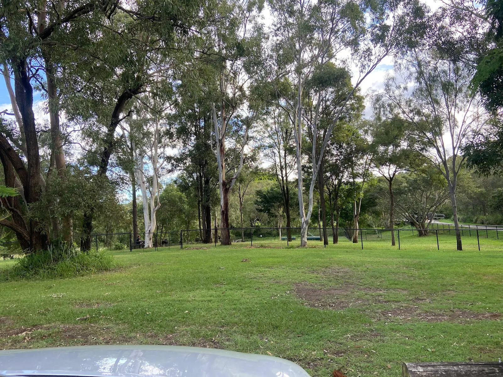 OFF-LEASH DOG PARK FREE COUNCIL PUBLIC dog park