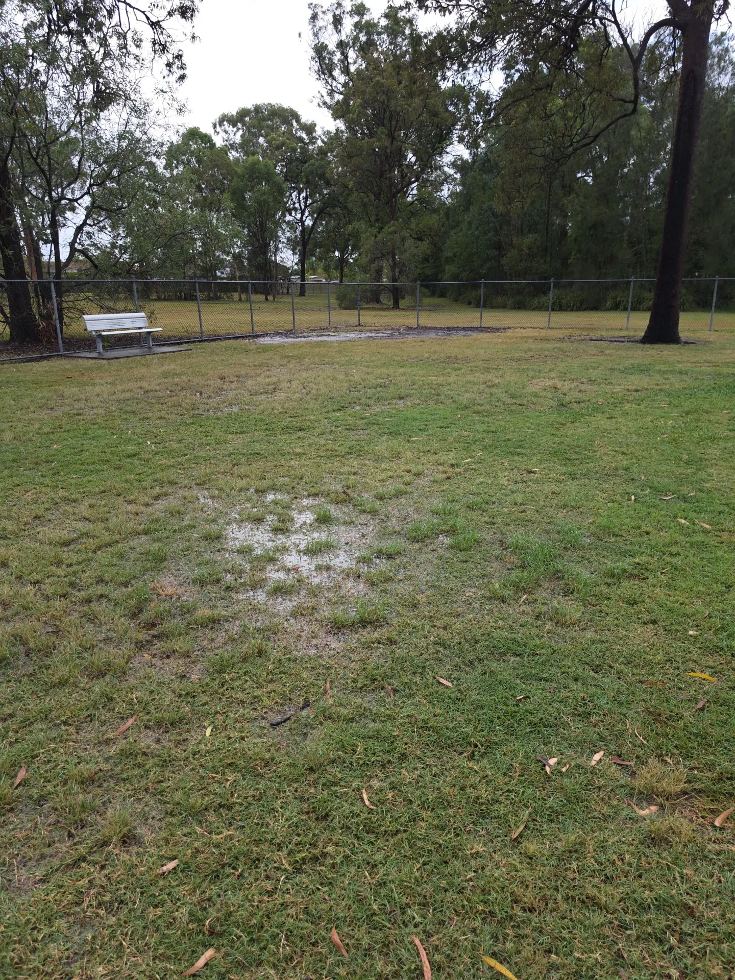 Brodies Park (North) Fenced Dog Park dog park