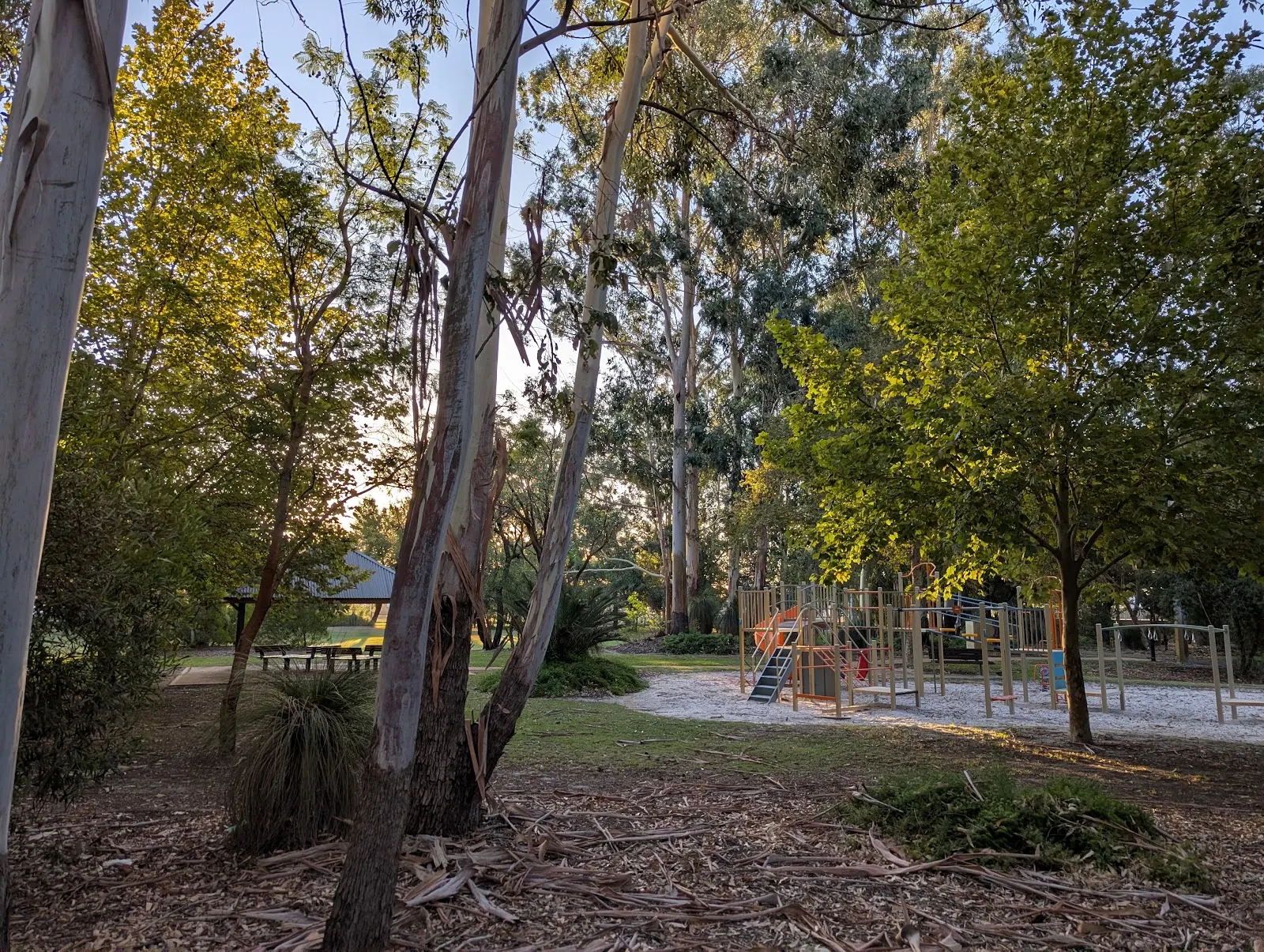 Yarra Vista Park Fenced Dog Park dog park