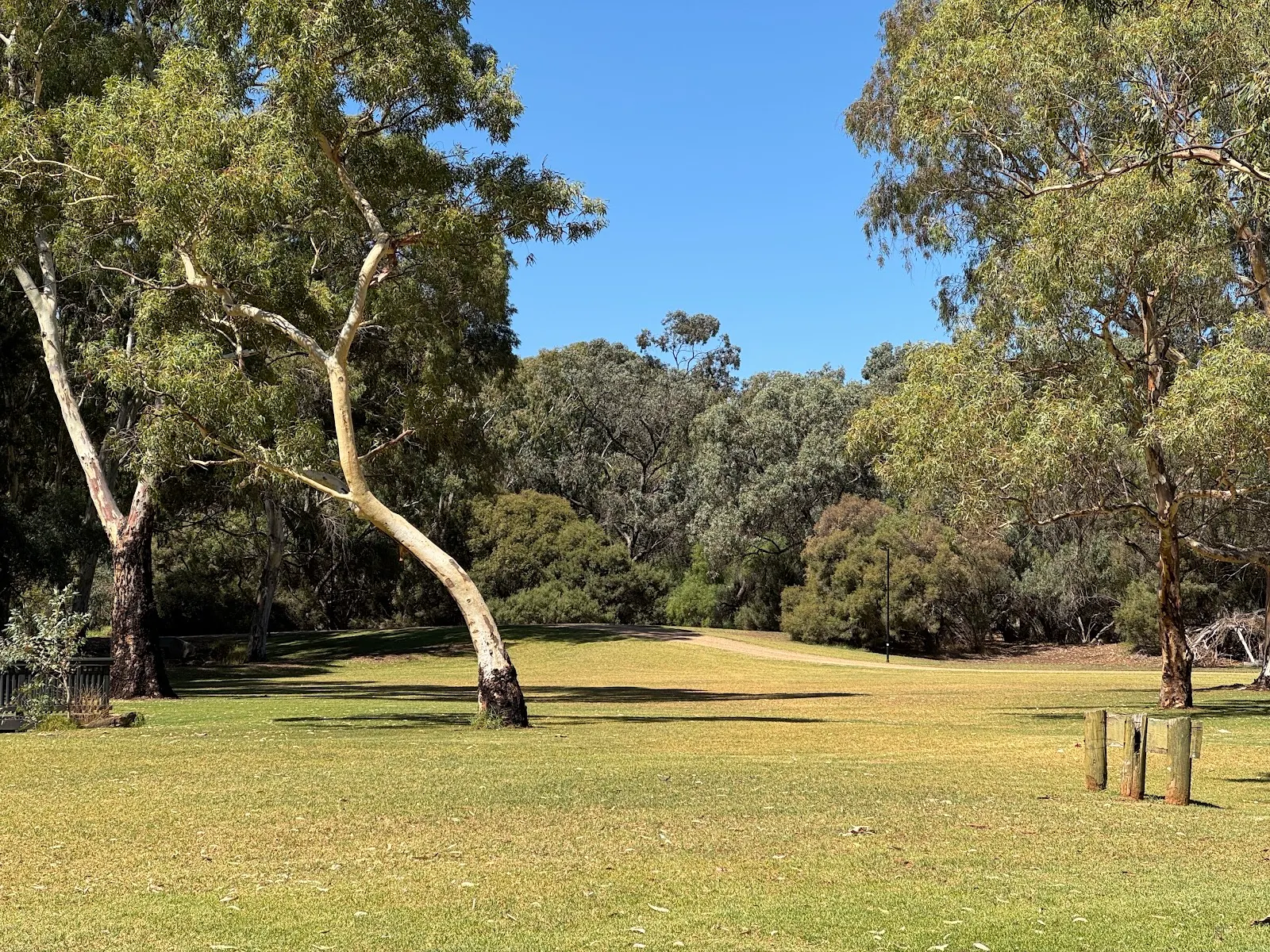 Pooraka Small Dog Park, Pooraka