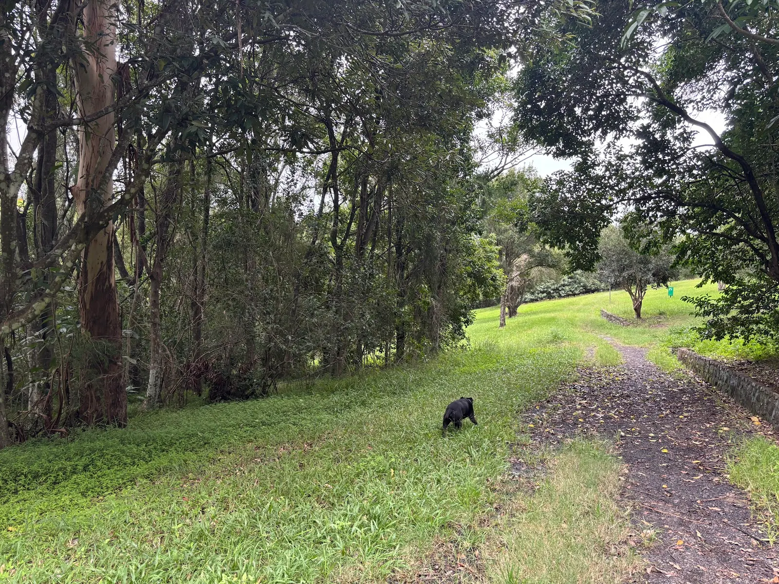 Dog Off Leash Exercise Area - Elizabeth Gardens dog park