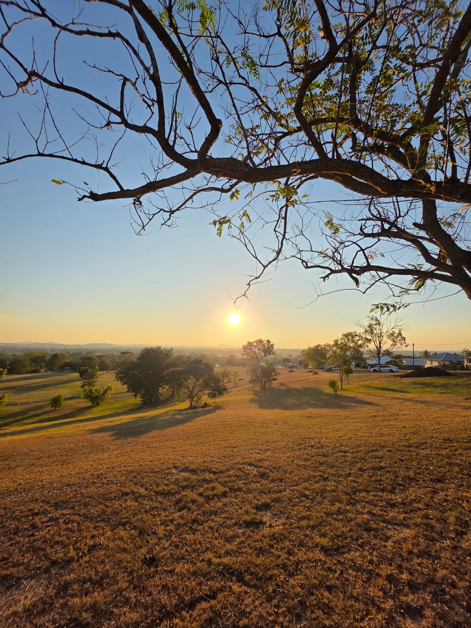 Georgeson Oval dog park
