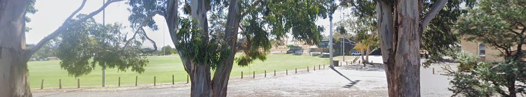 Rocherlea Recreation Ground Fenced Dog Park dog park