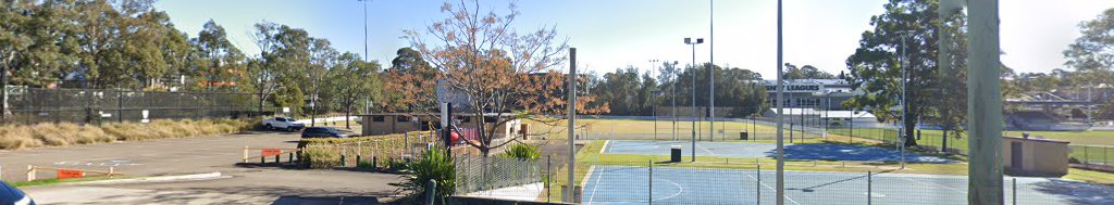 Ringrose Oval Fenced Dog Park dog park