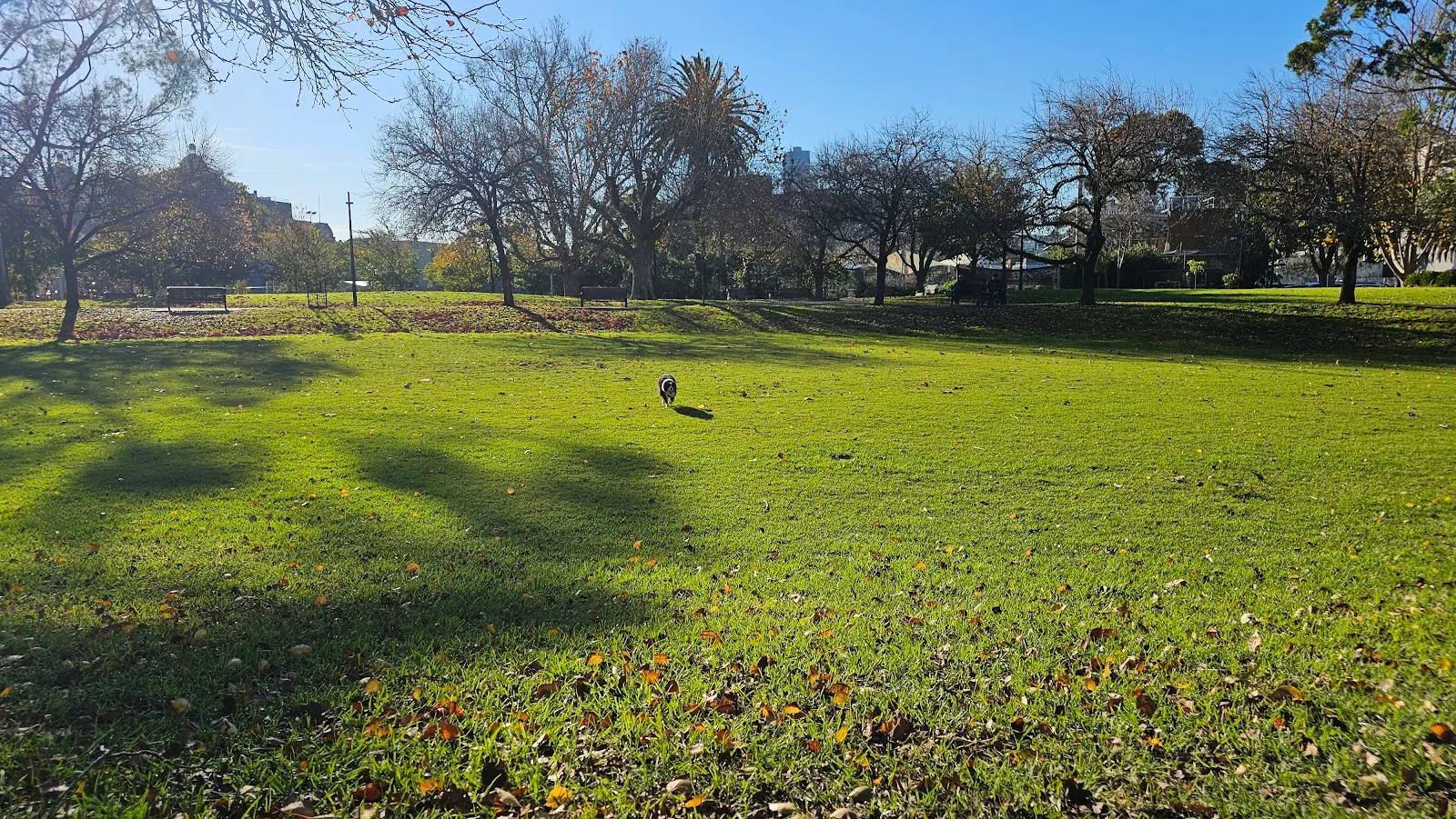 Princess Gardens Off-Leash Area dog park