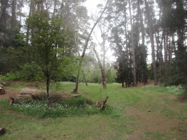 Iona Reserve Dog Off Leash Area dog park
