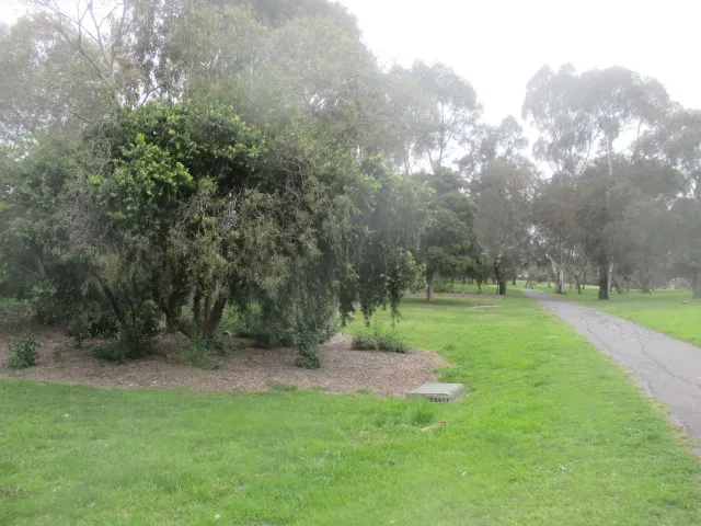 St Clems Reserve Dog Off Leash Area dog park