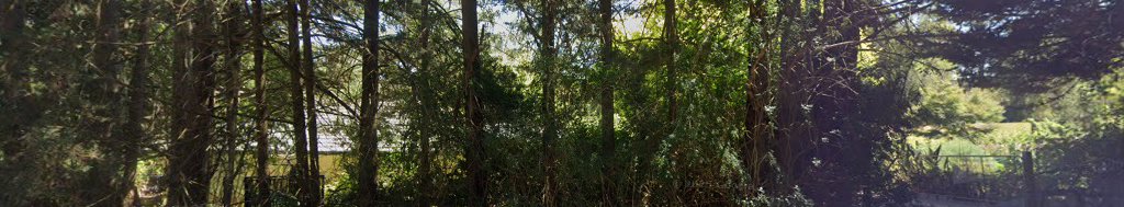 Wandin East Recreation Reserve Dog Off Leash Area dog park